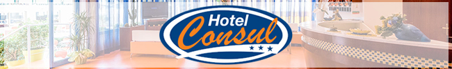 Hotel Consul