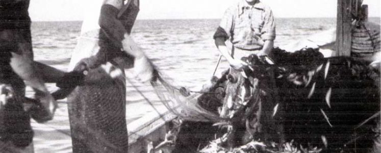 La dura vita del murè