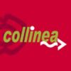 Collinea