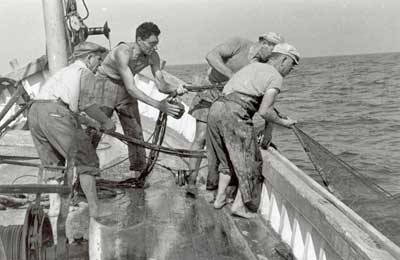 St'è tutt vrucéd, cus t'è i gajun?